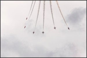 Fanning Out Photo credit: Tim Haynes